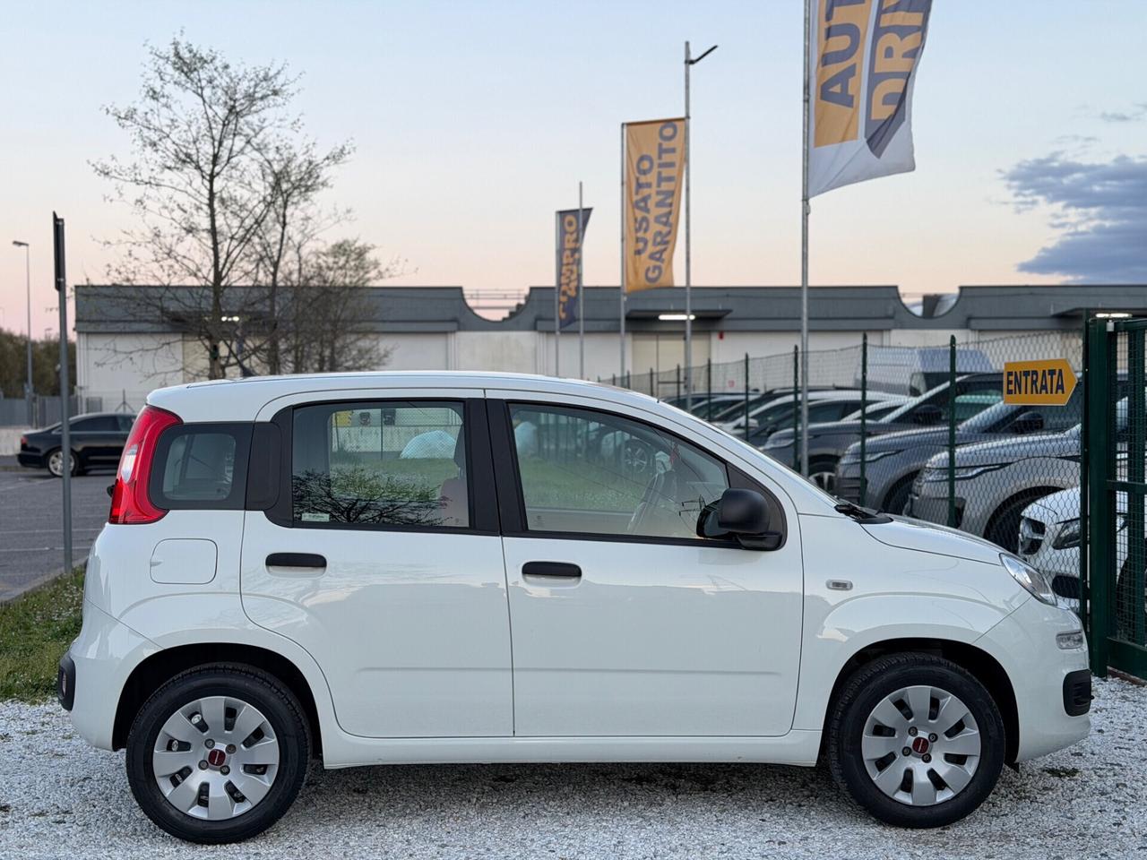 Fiat Panda 1.2 Lounge “ 21 Mila Km CERTIFICATI “