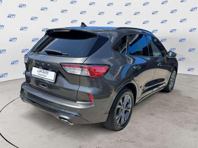 Ford Kuga 2.0 ecoblue ST-Line 2wd 120cv auto