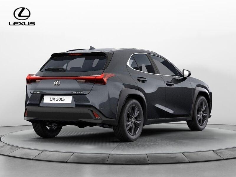 Lexus UX 300h Urban
