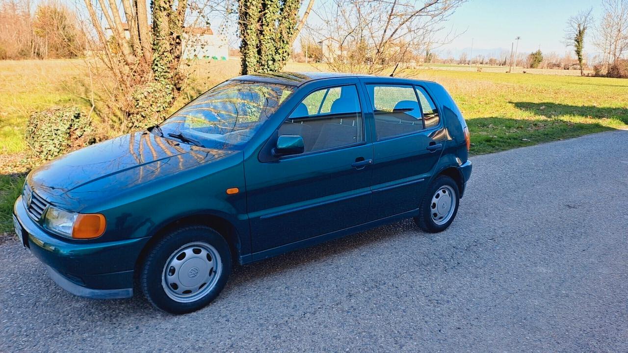 Volkswagen Polo 1.4 cat 5 porte Comfort