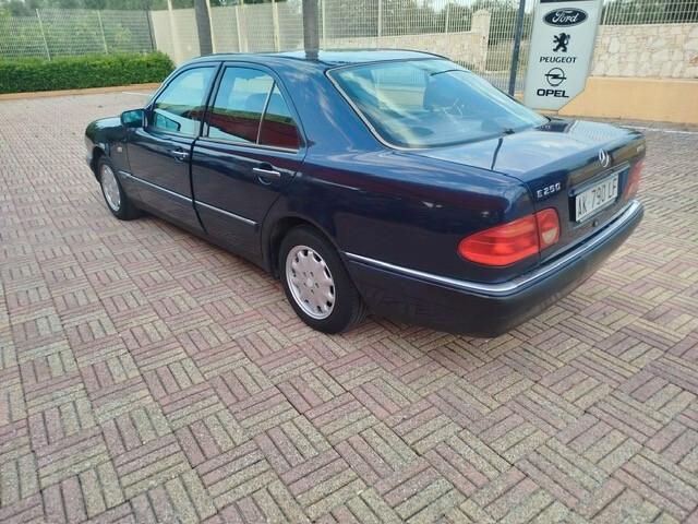 Mercedes-benz E 250 diesel cat Avantgarde