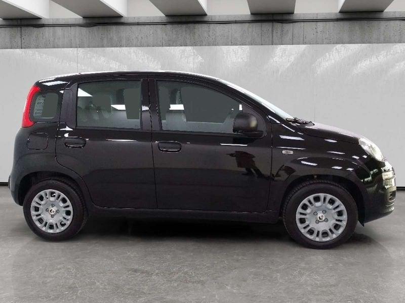 FIAT Pandina 1.0 firefly hybrid Icon s&s 70cv 5p.ti