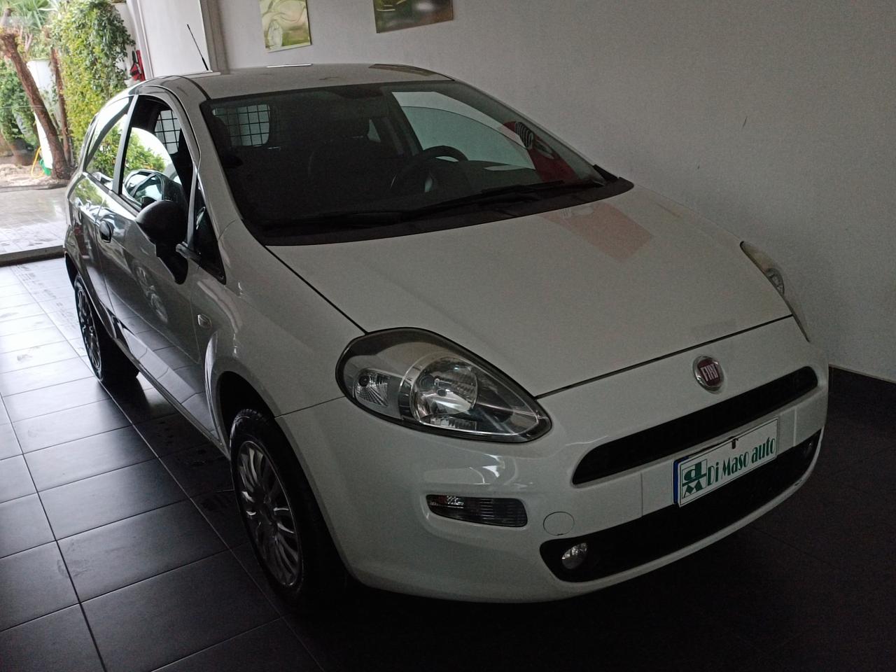 Fiat Punto Evo due posti autocarro