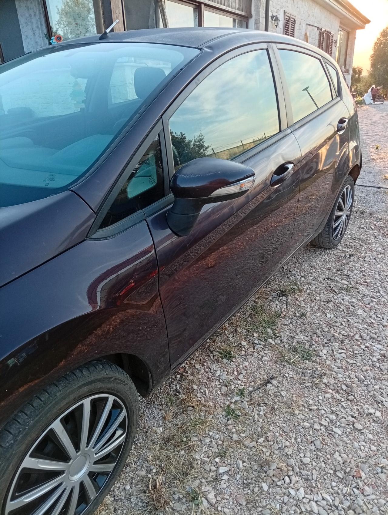 Ford Fiesta 1.4 TDCi 5p.