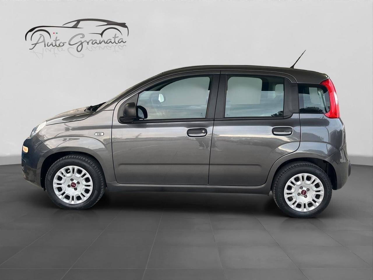 Fiat Panda 1.2 GPL 69cv Lounge NEOPATENTATI