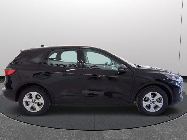 FORD Kuga 1.5 EcoBlue 120 CV aut. 2WD Connect