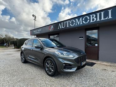Ford Kuga 1.5 EcoBlue 120 CV 2WD ST-Line X