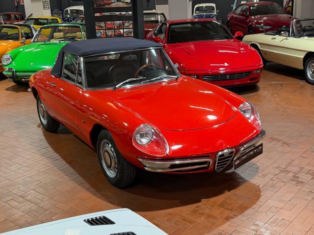 ALFA ROMEO Spider Osso di Seppia 1750 Veloce