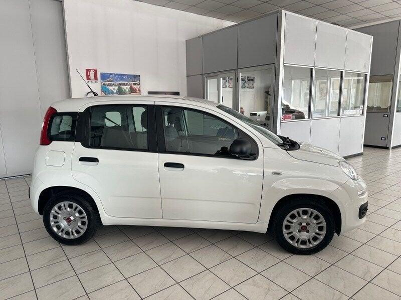 FIAT Panda Panda 1.0 FireFly S&S Hybrid