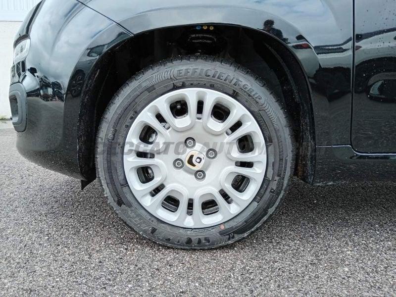 FIAT Panda Panda 1.0 firefly hybrid s&s 70cv