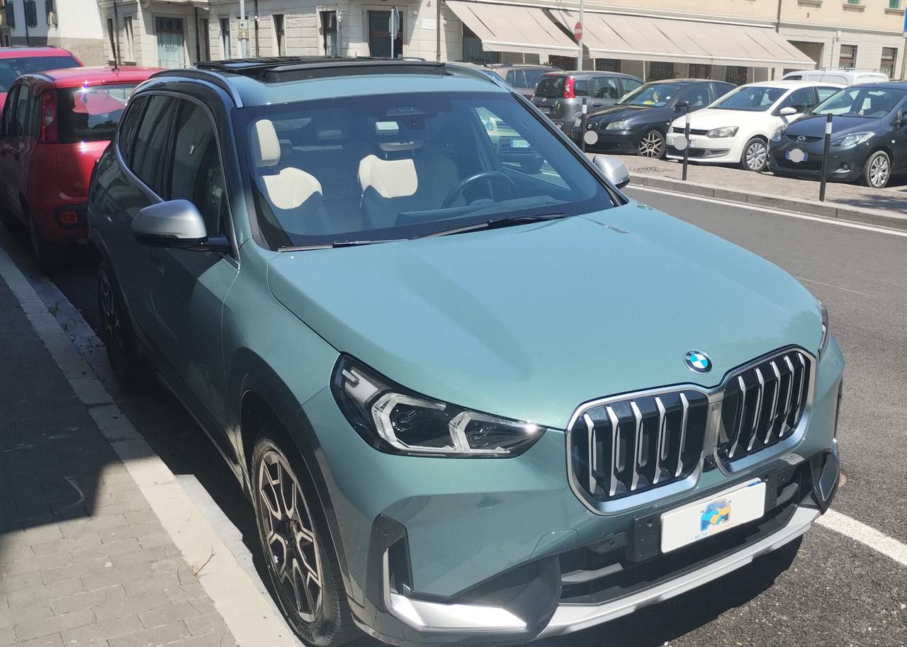 Bmw X1 sDrive18i xLine Edition Signature