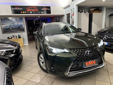 Lexus UX 250h UX 250h iva esposta