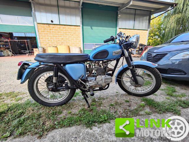 TRIUMPH Trophy 500 T100