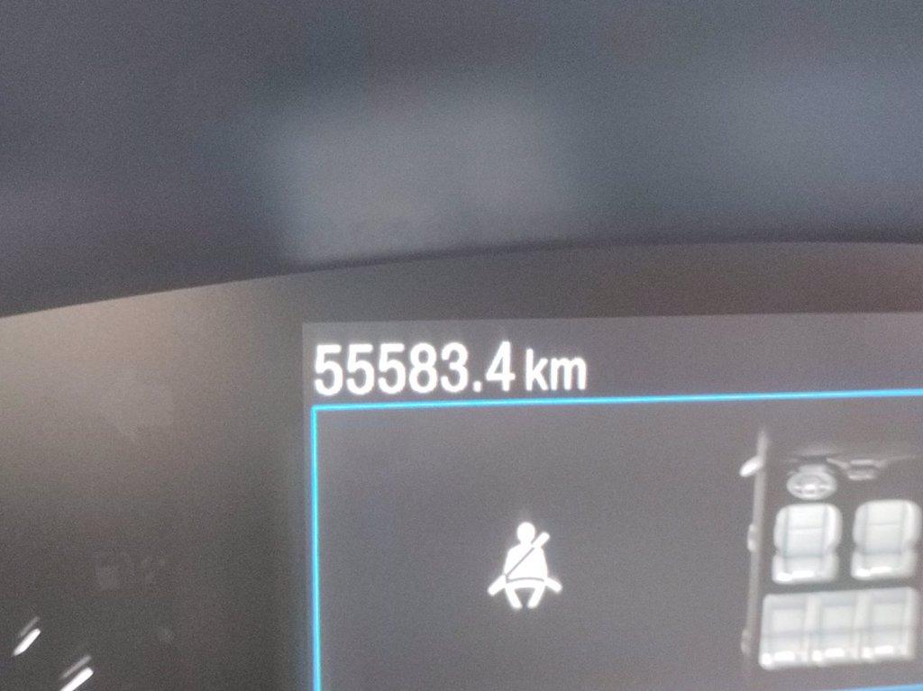 FORD Focus sw 1.0 ecoboost h st-line design 125cv powershift del 2023