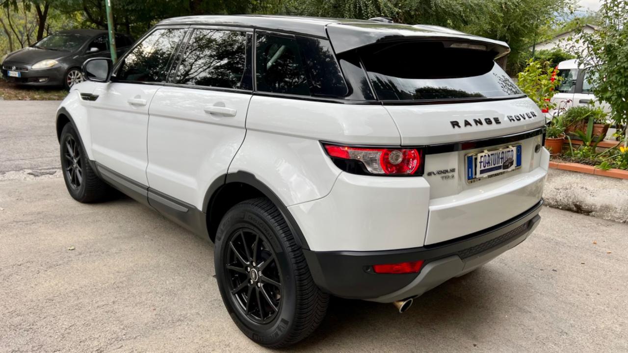 Land Rover Range Rover Evoque Range Rover Evoque 2.2 TD4 5p. Pure