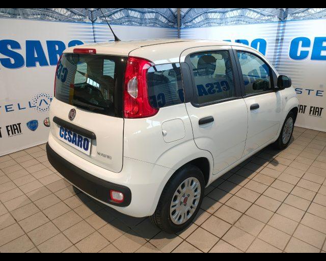 FIAT New Panda 1.0 firefly hybrid 70cv 5 posti