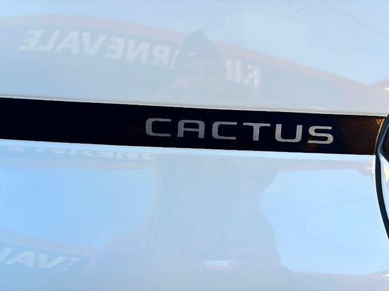 Citroën C4 Cactus BlueHDi 100 S&S Origins