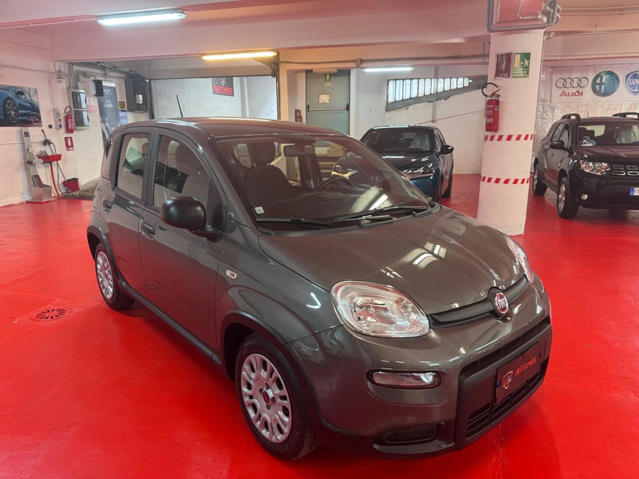 Fiat Panda 1.0 FireFly S&S Hybrid con soli 25000km