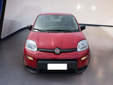 FIAT Panda My24 1.0 70cv Hybrid Panda