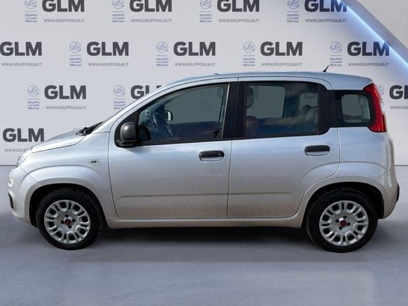 FIAT Panda 1.2 69cv Young