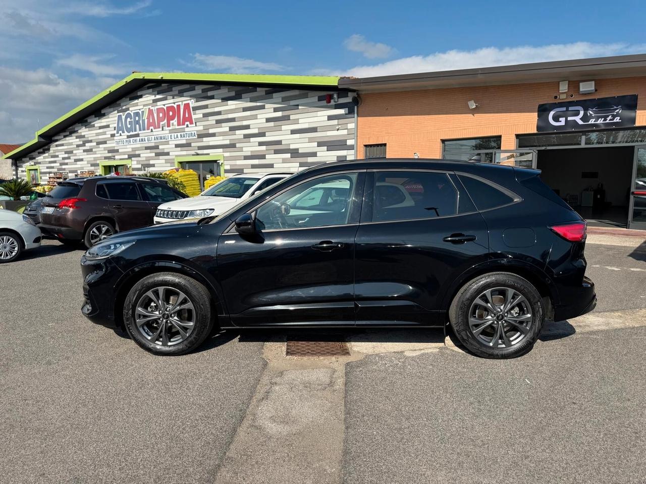 Ford Kuga 2.0 EcoBlue 120CV aut. AWD ST-Line X