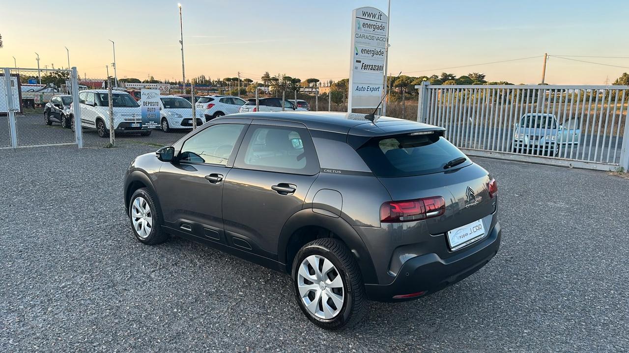 Citroen C4 Cactus BlueHDi 120 S&S EAT6 Shine