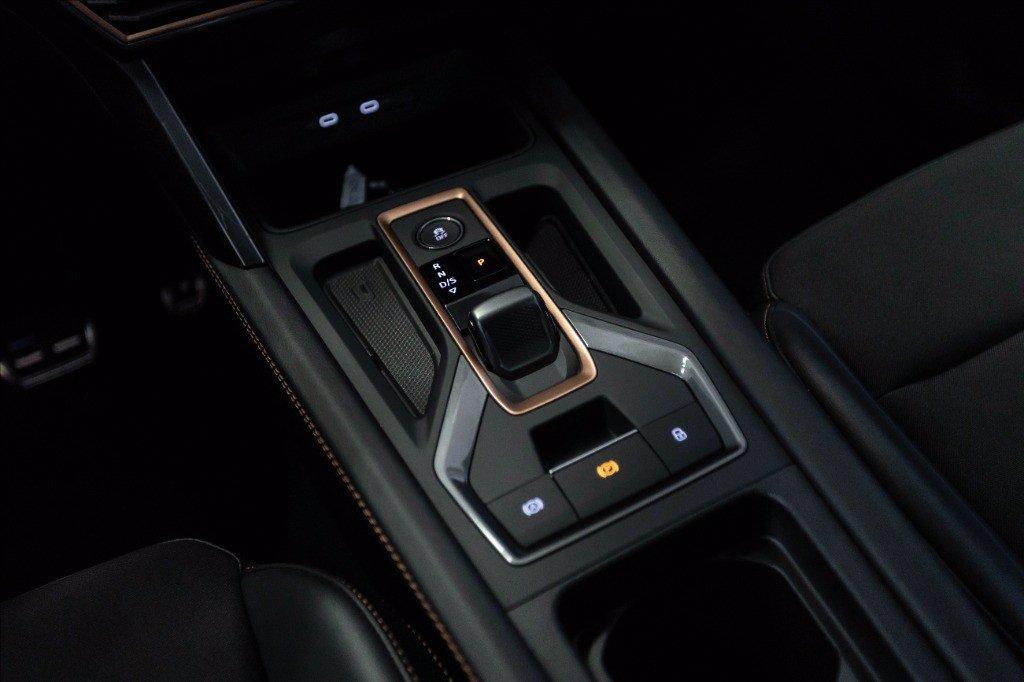 CUPRA Formentor 2.0 tdi 150cv dsg del 2025
