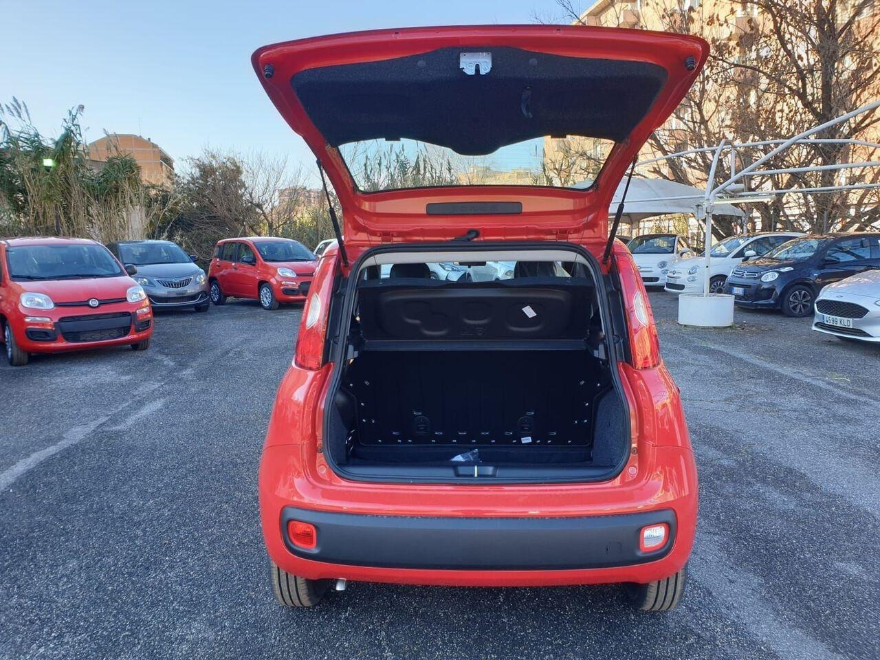 FIAT Panda III 2021 - Panda 1.0 firefly hybrid s&s 70cv