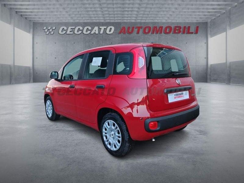 FIAT Panda Panda 1.0 70cv Hybrid Icon