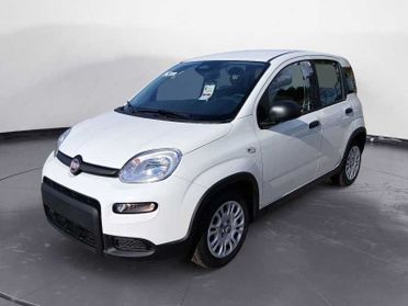 FIAT Panda NEW 1.0 70cv Hybrid Panda