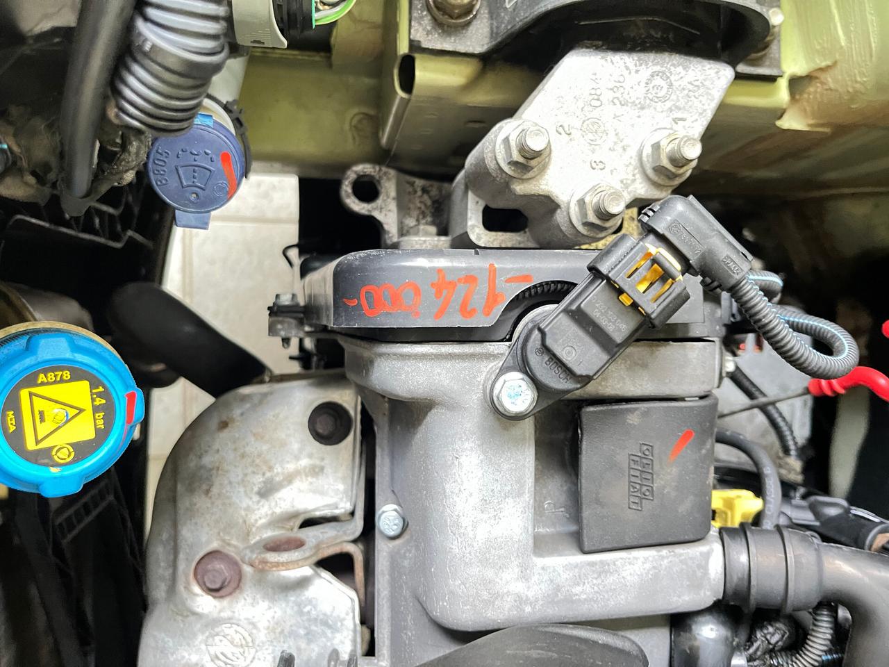 FIAT PANDA 1.1 BENZINA ACTIVE - ANCHE PER NEOPATENTATI