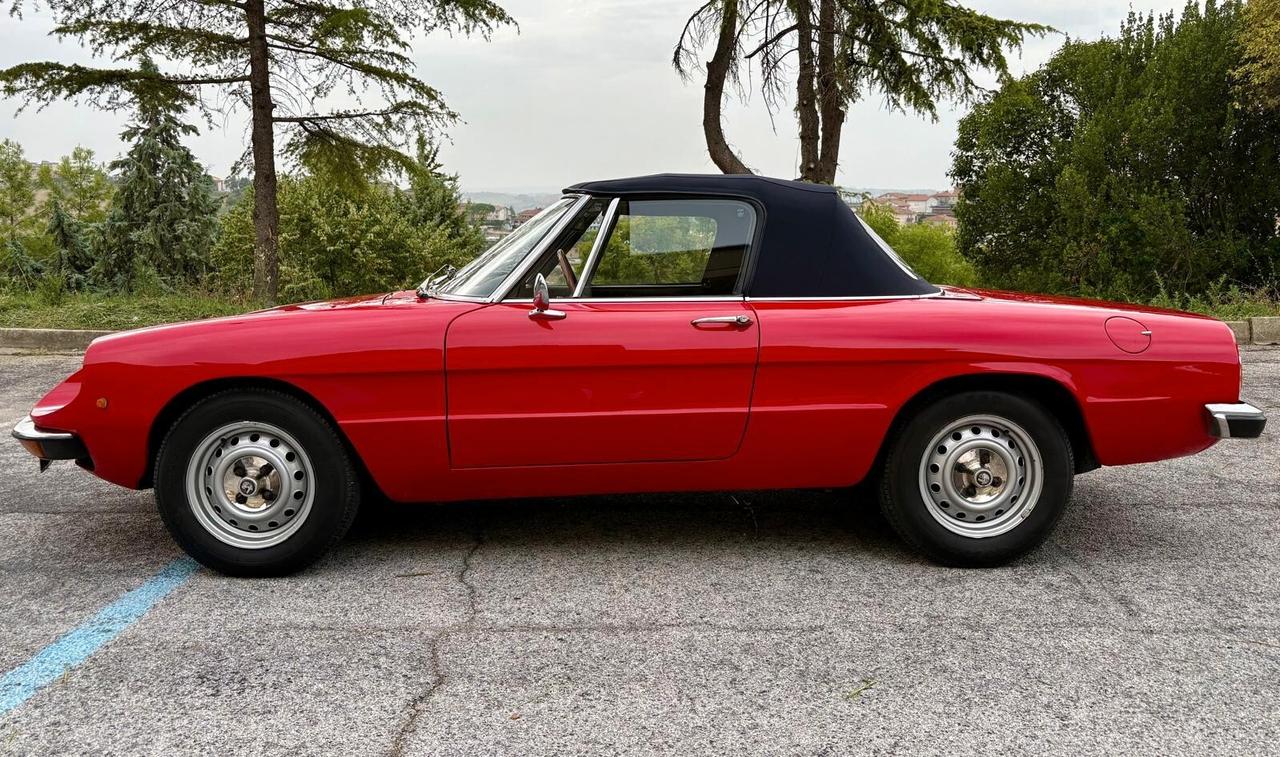 ALFA ROMEO SPIDER JUNIOR 1300 CODA TRONCA