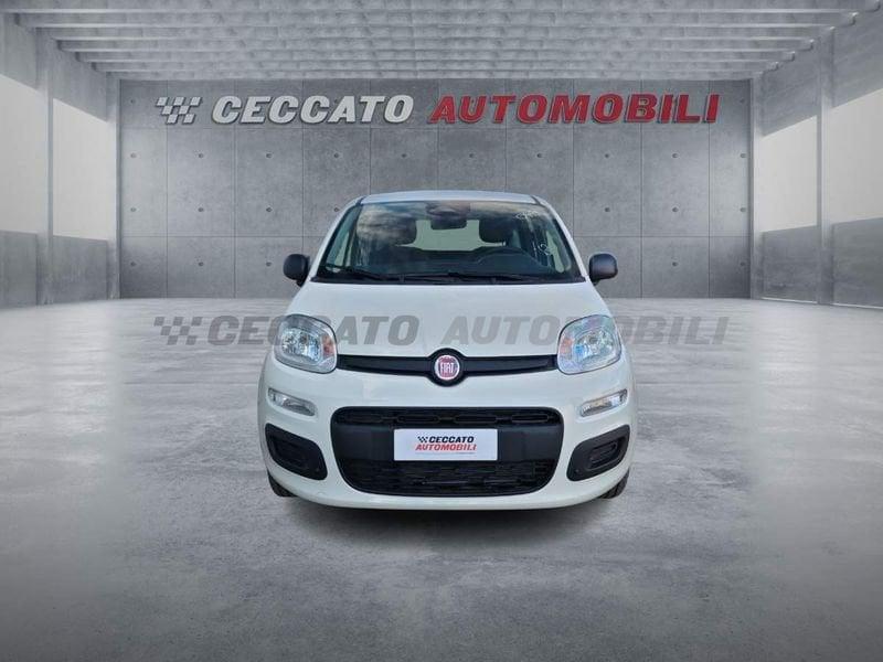 FIAT Panda Panda 1.0 70cv Hybrid Icon