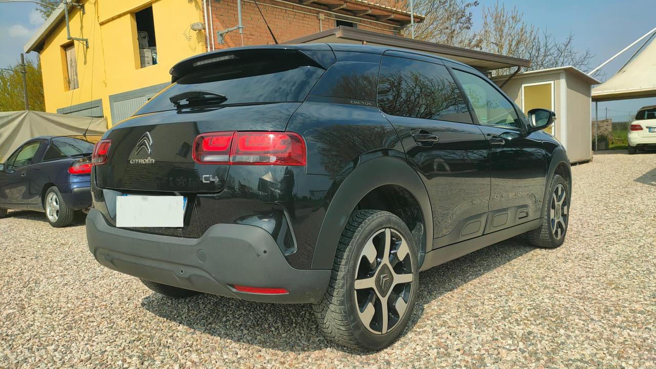 Citroen C4 Cactus 1.6 bluehdi Shine s&s 100cv