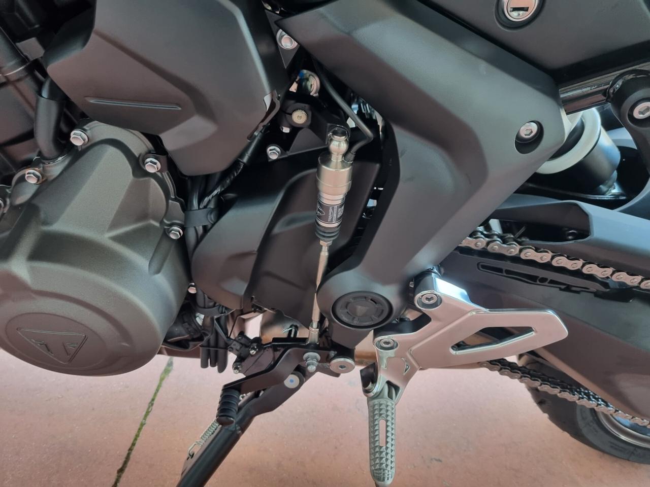 Triumph Tiger Sport 660 CON BORSE LATERALI