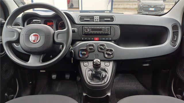 FIAT Panda 3ª serie 1.0 FireFly S&S Hybrid