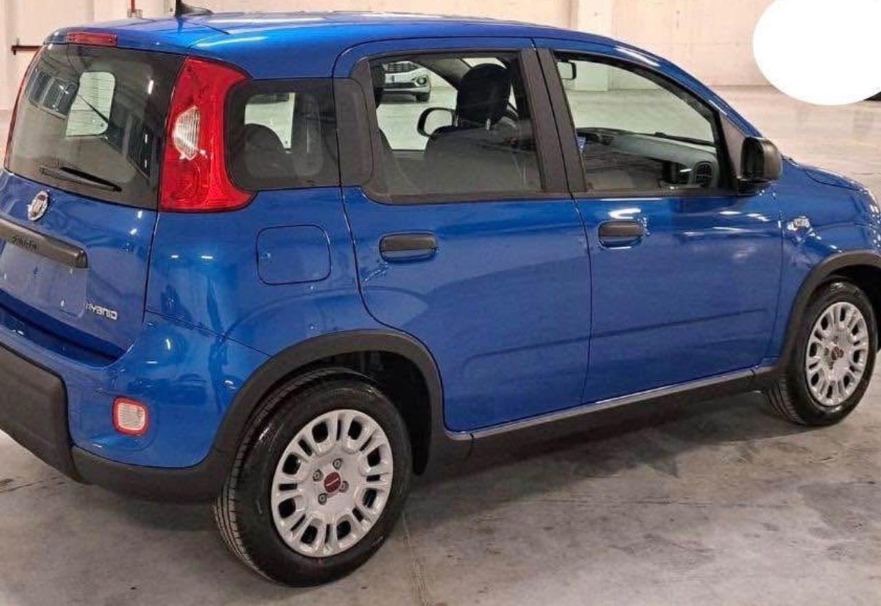 Fiat Panda 1.0 FireFly S&S Hybrid Pandina