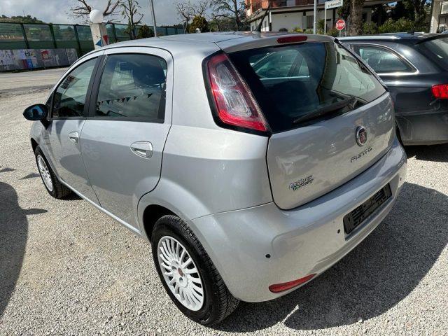 FIAT Punto 1.4 8V 5 porte Natural Power Street