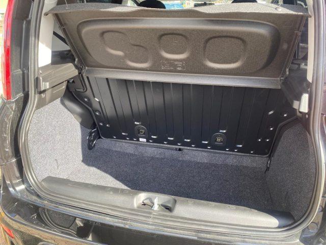 FIAT Panda 1.0 MILD- Hybrid VETRI OSCURATI