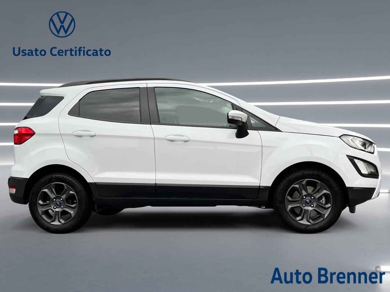 Ford EcoSport 1.5 tdci business 100cv