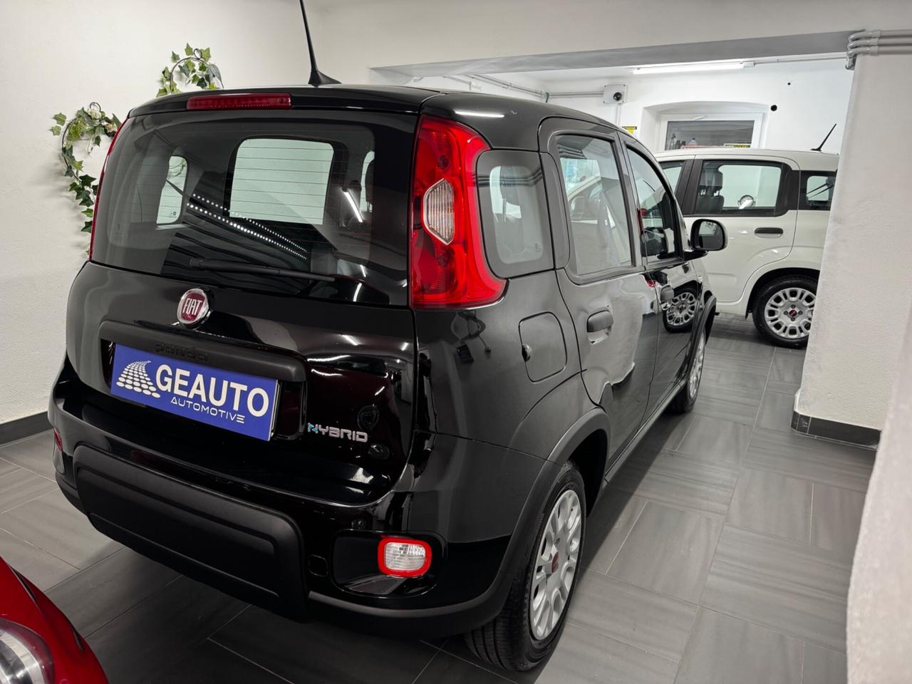 Fiat Panda 1.0 BENZINA/ Hybrid City Life SEMINUOVA KM 3.500