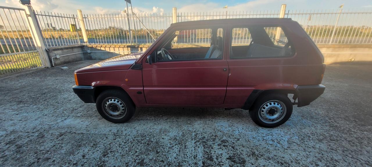 Fiat Panda 900 i.e. cat Young