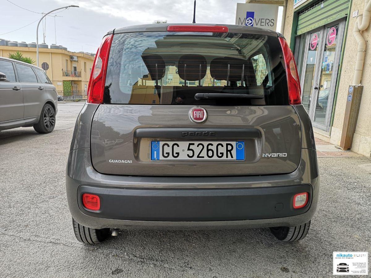 FIAT Panda 1.0 FireFly 70 CV S&S Hybrid Easy