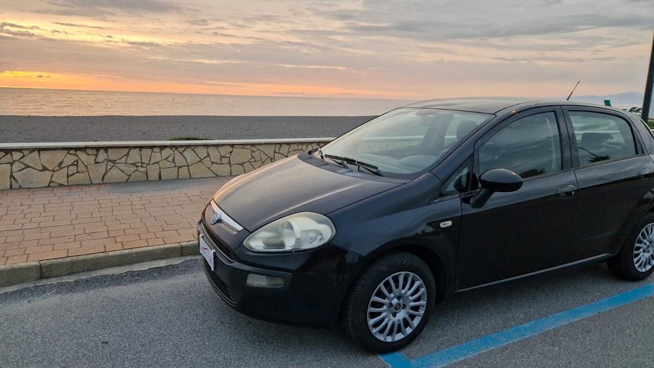 Fiat Punto Evo 1.3 Mjt 75 CV 5 porte Dynamic