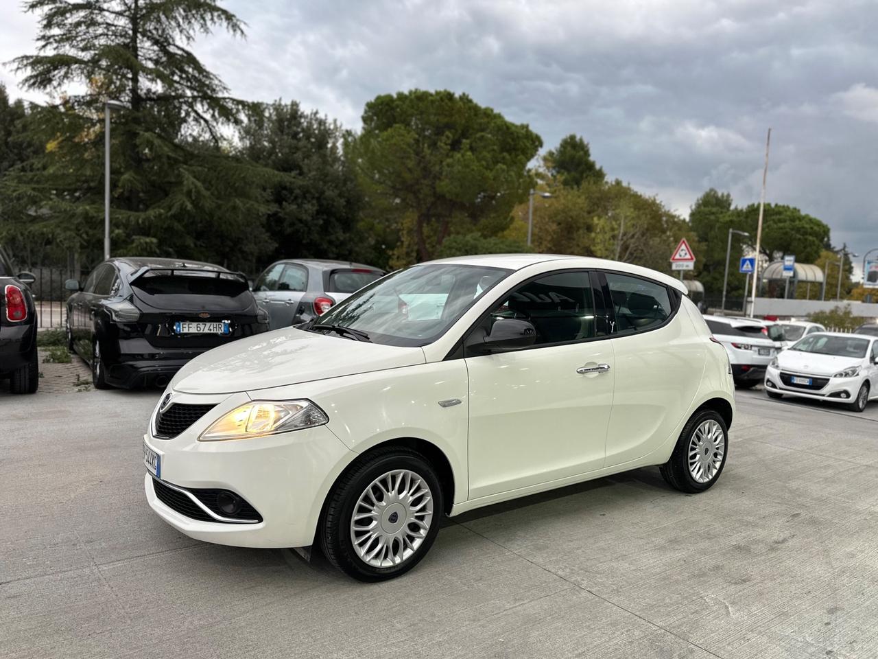 Lancia Ypsilon 1.3 MJT 16V 95 CV 5 porte S&S Platinum
