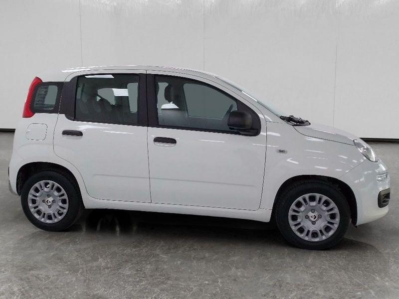 FIAT Pandina 1.0 firefly hybrid Icon s&s 70cv 5p.ti
