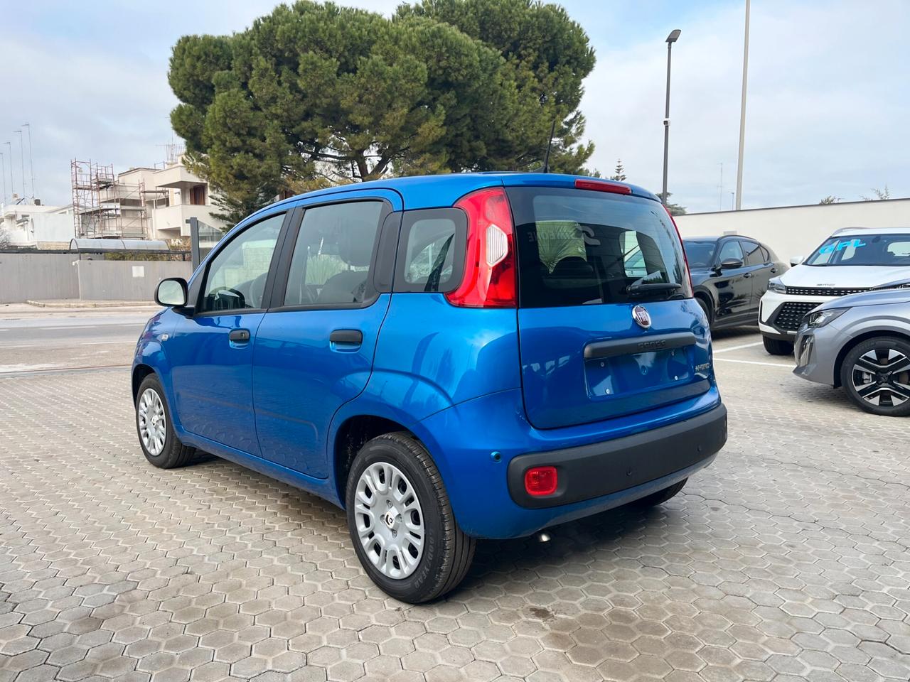 Fiat Panda 1.0 FireFly 70cv Hybrid Icon Km0 (5 posti)