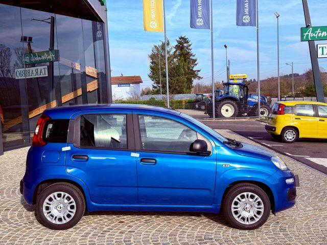 FIAT New Panda ICON - KM 0 10/2025- 5° POSTO - RADIO - SENSORI