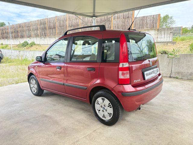 FIAT Panda 1.2 Emotion OK NEOPATENTATI PRONTA CONSEGNA