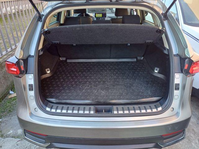 LEXUS NX 300 Hybrid Business Unico Proprietario Cronologia Tagl